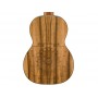 FENDER Dhani Harison Uke WN Turquoise