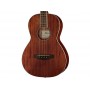 IBANEZ PNB14E Open Pore Natural