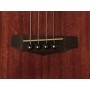 IBANEZ PNB14E Open Pore Natural