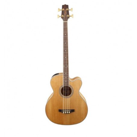 TAKAMINE GB72CE Natural