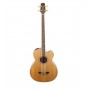 TAKAMINE GB72CE Natural