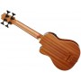 KALA U-BASS Journeyman Acoustic-Electric F-Holes