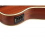 KALA U-BASS Journeyman Acoustic-Electric F-Holes
