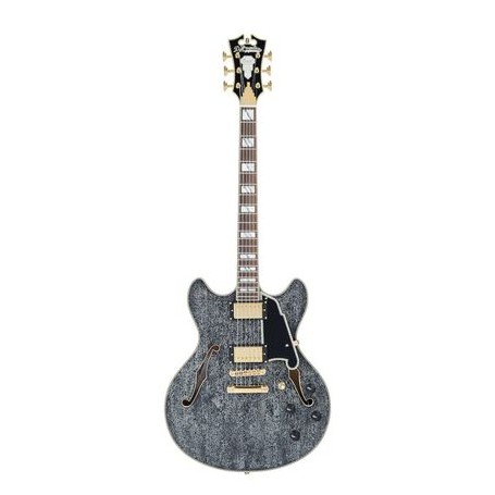 D'ANGELICO Excel Dc Black Dog