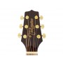 TAKAMINE GSN11MCE NG