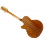 TAKAMINE GSN11MCE NG