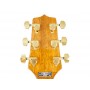 TAKAMINE GSN11MCE NG