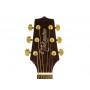 TAKAMINE GSD11MCE NG Natural Gloss