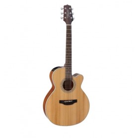 TAKAMINE GN20CE NS