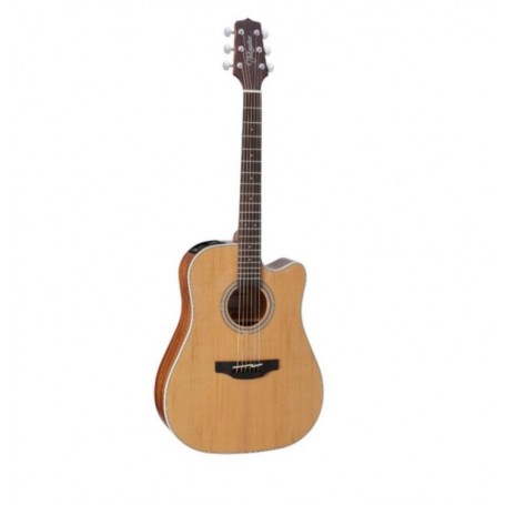TAKAMINE GD20CE NS