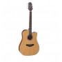 TAKAMINE GD20CE NS