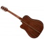 TAKAMINE GD20CE NS