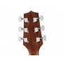 TAKAMINE GD20CE NS