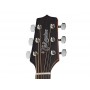 TAKAMINE GD20CE NS
