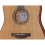 TAKAMINE GD20CE NS