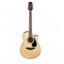 TAKAMINE GF30CE Natural
