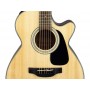 TAKAMINE GF30CE Natural