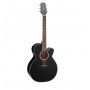 TAKAMINE GN30CE Black