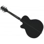 TAKAMINE GN30CE Black