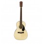 FENDER CP-60S Parlor WN Natural