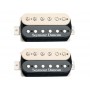 SEYMOUR DUNCAN Pearly Gates Zebra Set