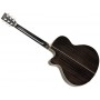 TANGLEWOOD Winterleaf TW4 E BS Black Shadow Gloss