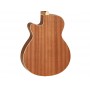 TANGLEWOOD Winterleaf TW9 E Natural Satin