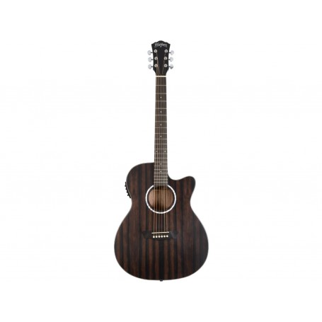 WASHBURN Ebony Ace