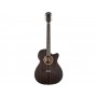 WASHBURN Ebony Ace