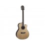 WASHBURN Ag70 Ce