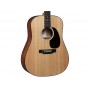 MARTIN D-10E Abete