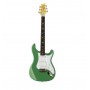 PRS SE Silver Sky Ever Green