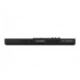 CASIO CT-S1000V