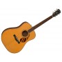 FENDER PD 220E Dreadnought Natural