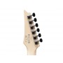 IBANEZ RG421PB CHF Caribbean Shoreline Flat