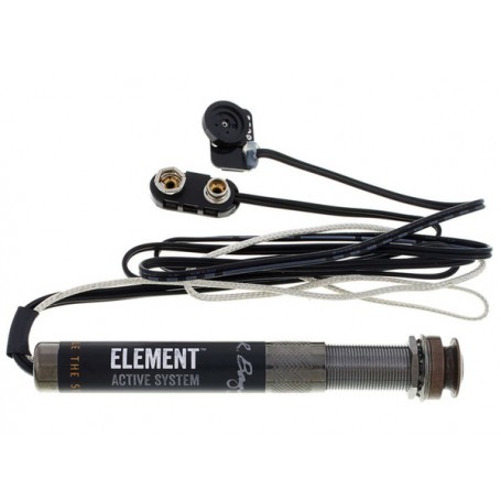 L.R. BAGGS EAS Element Active System