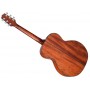 TAKAMINE GLN12E-NS