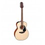TAKAMINE GLN12E-NS