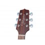 TAKAMINE GLN12E-NS