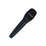 DPA 2028-B-B01 Supercardioid Vocal Mic