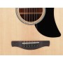 IBANEZ AAD50CELG Natural Low Gloss