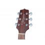 TAKAMINE GLD12E-NS