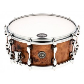 TAMA PMM146 STN Starphonic Maple 14"x6" Satin Mappa Burl