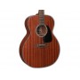 TAKAMINE GN11M NS
