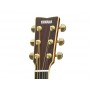 YAMAHA LL16 ARE Dark Tinted