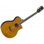 YAMAHA APX600 FM Amber