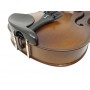 STENTOR Graduate Violin 4/4 (strumento Non Preparato)