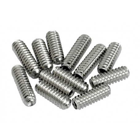 FENDER American Vintage Strat/Tele Bridge Saddle Height Adjustment Screws (12 pcs)