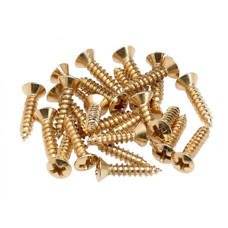 FENDER Control Plate Mounting Screws Gold (24 pcs)