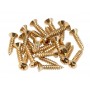 FENDER Control Plate Mounting Screws Gold (24 pcs)